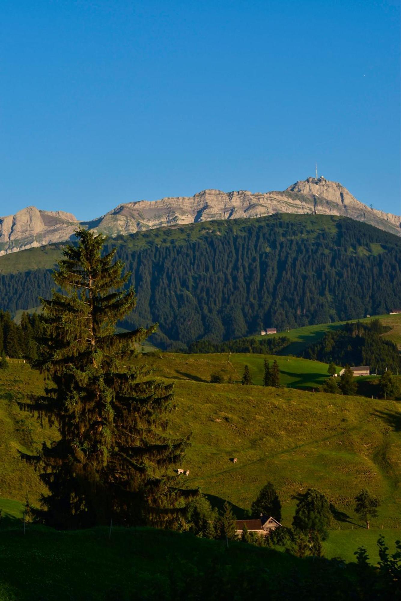Ferienwohnung In Buehler Naehe Appenzell Buhler Εξωτερικό φωτογραφία